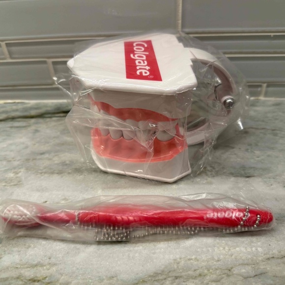 Colgate Large Teeth Educational Model with Brush unopened - Picture 3 of 5